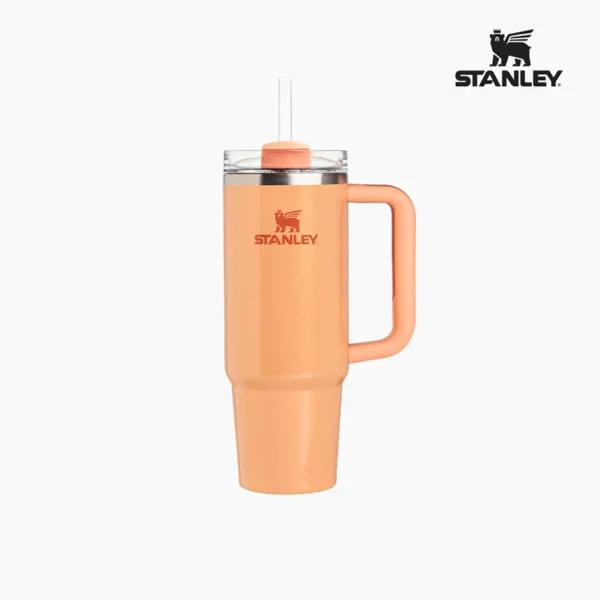 【43色💥887ml】韓版Stanley Quencher H2.0 Flowstate 保溫杯 (887 ml)